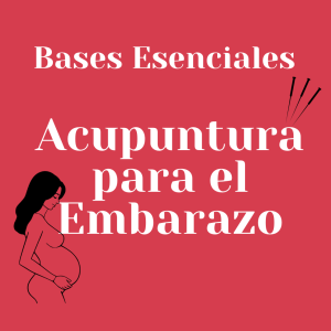 Bases Esenciales de Acupuntura para el Embarazo